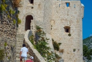 スプリト：ホップオン＆オフグリーンラインでクリス、オリーブ博物館、ジュニャンへ