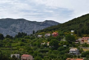 スプリト：ホップオン＆オフグリーンラインでクリス、オリーブ博物館、ジュニャンへ