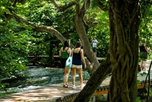 Split: Excursión de un día al Parque Nacional de Krka con paseo en barco y baño
