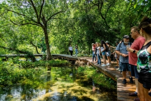 Split: Krka National Park Day Trip with Boat Ride & Swimming