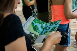 Split: Krka National Park Day Trip with Boat Ride & Swimming