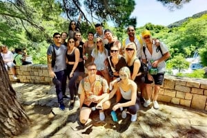 Split: Krka National Park Full-Day Tour with Wine Tasting