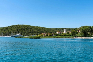 Split: Krka Waterfalls Guided Day Trip with Swim & Boat Tour