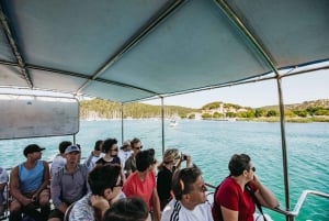 Jakautukaa: Krka vesiputoukset retki veneellä risteily ja uinti