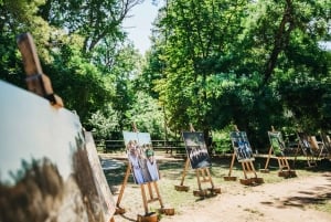 Split: Viagem às cascatas de Krka com cruzeiro de barco e natação