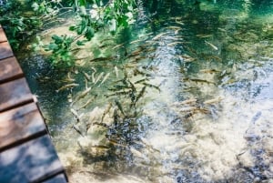 Split: Viagem às cascatas de Krka com cruzeiro de barco e natação