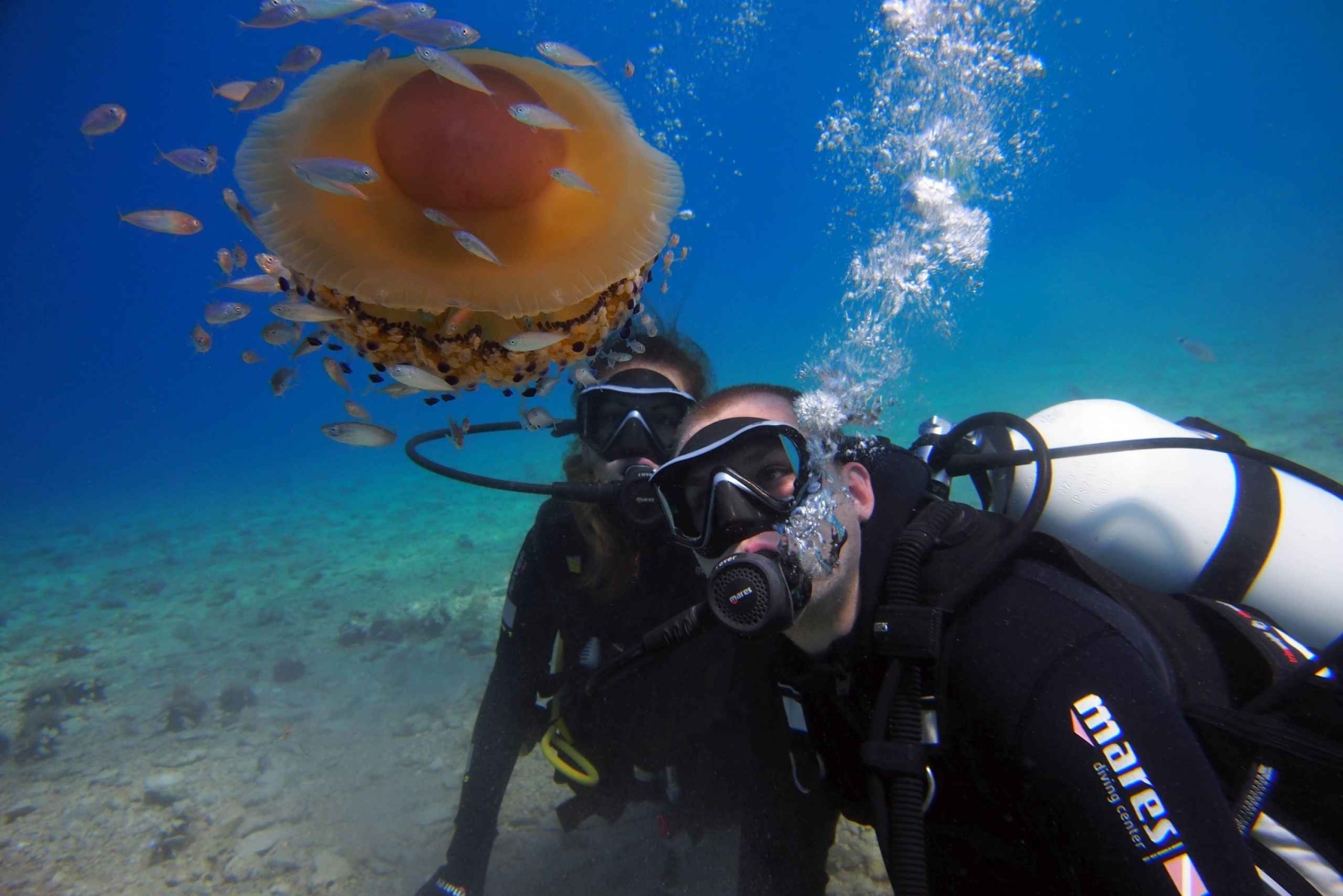 Split-Makarska-Brela Try SCUBA Dive