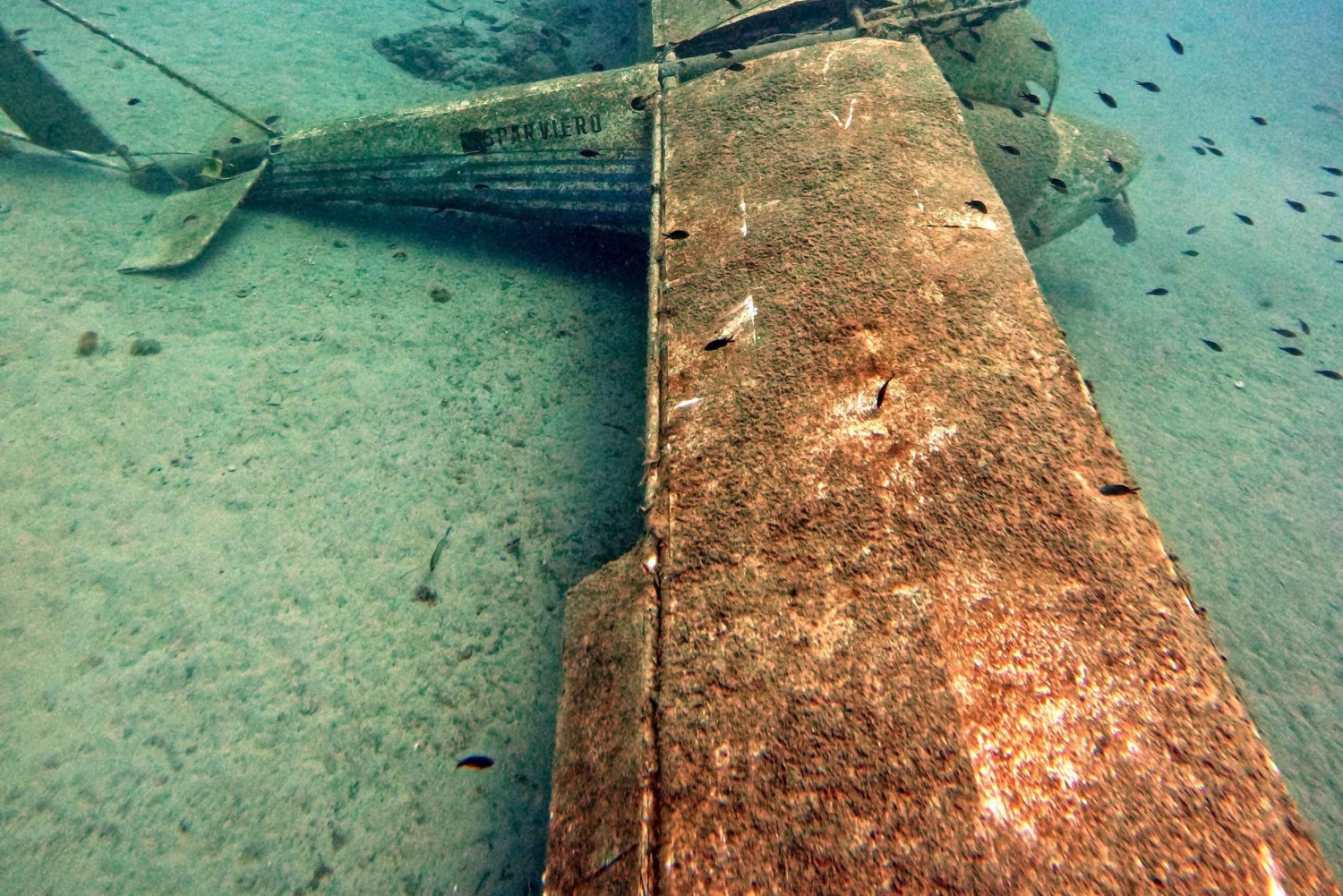 Split-Makarska-Brela Try SCUBA Dive