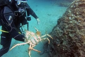 Split-Makarska-Brela Try SCUBA Dive