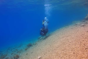 Split-Makarska-Brela Try SCUBA Dive