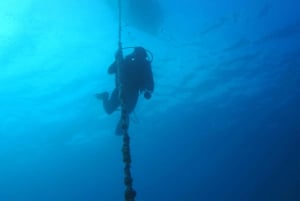 Split-Makarska-Brela Try SCUBA Dive