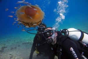 Split-Makarska-Brela Try SCUBA Dive