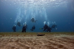 Split-Makarska-Brela Try SCUBA Dive