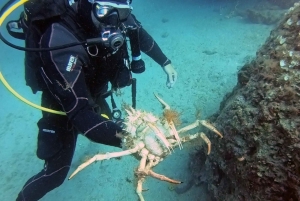 Split-Makarska-Brela Try SCUBA Dive