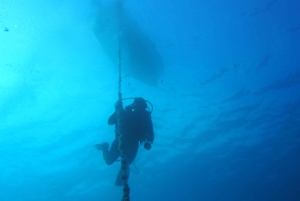 Split-Makarska-Brela Try SCUBA Dive