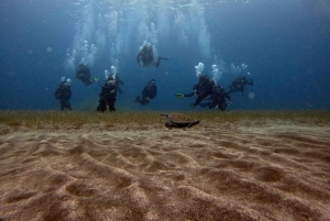 Split-Makarska-Brela Try SCUBA Dive