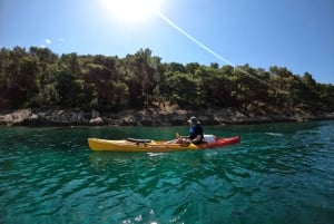 Split: Kajakpaddling i skogsparken Marjan