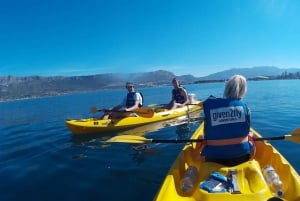 Split: Marjan Forest Park Kayaking