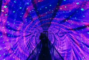 Split: Illuusiomuseon pääsylippu