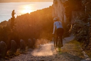 Split: Casco Antiguo y Parque Marjan en Bicicleta