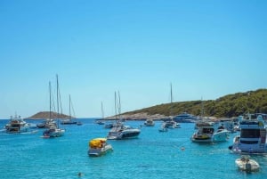 Split eller Trogir: Speedbådstur til den blå grotte, Vis og Hvar