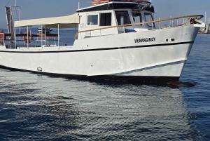 Panorama-båttur i Split med øl, vin, juice og svømming