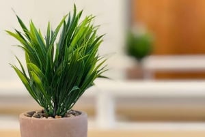 Panorama-båttur i Split med øl, vin, juice og svømming