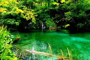 Split: Plitvice Lakes Guided Day Tour with Entry Tickets