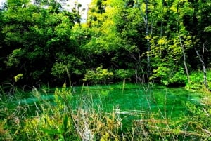 Split : Visite guidée des lacs de Plitvice avec billets d'entrée