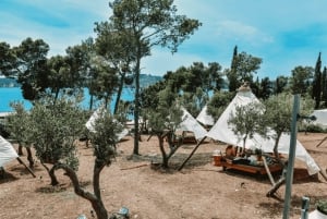 Split/Podstrana: Hvar & 6 saarta - pikaveneajelu