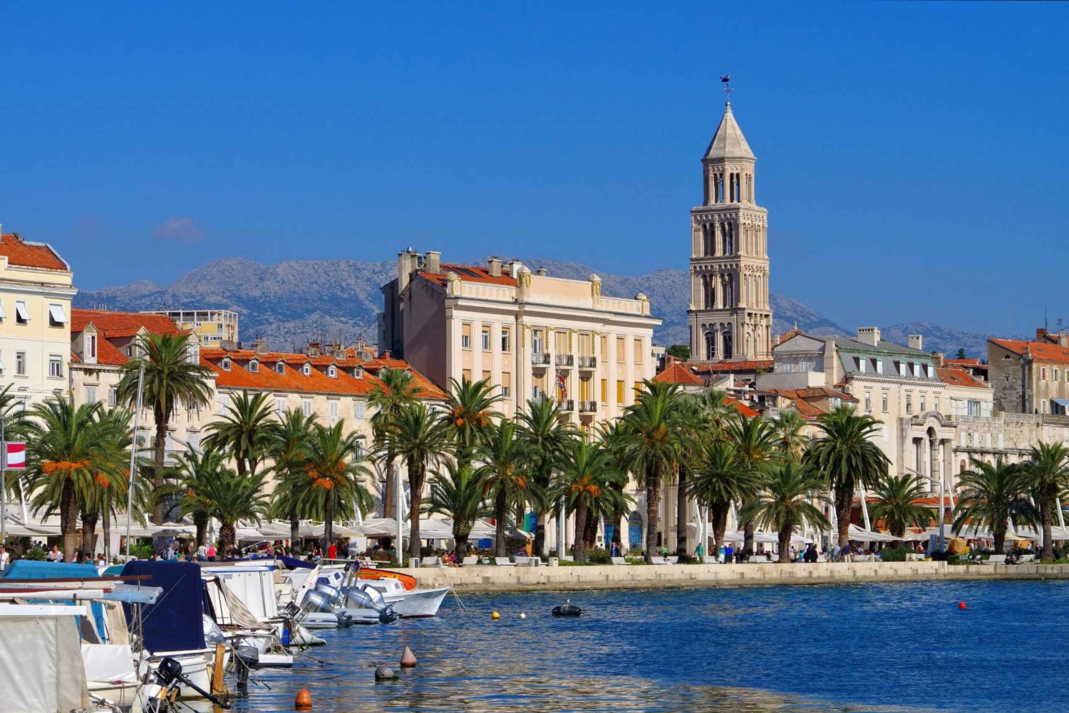 Split: Private custom tour with a local guide