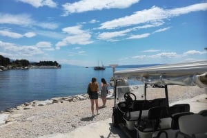 Split: Privat panoramatur med golfbil från kryssningsfartyg