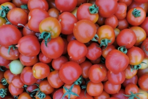 Split; Privat byvandring om morgenen i Split