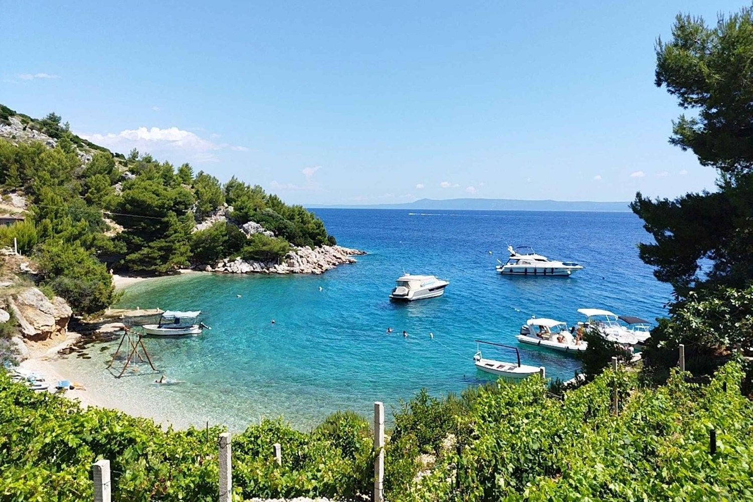 Split: Privat dagsutflykt med yacht till Adriatiska öarna