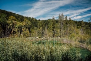 Split: Selvguidet Plitvice-søernes dagstur med bådtur