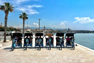 Split Tour in Private Electric Rickshaw