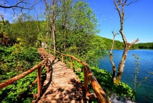 Split/Trogir to Zagreb: Private Transfer with Plitvice Lakes