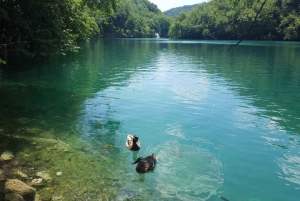 Split/Trogir to Zagreb: Private Transfer with Plitvice Lakes