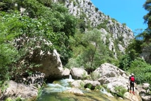 Split/Zadvarje: Cetina River Canyoning with Certified Guides