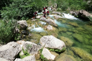 Split/Zadvarje: Cetina River Canyoning with Certified Guides