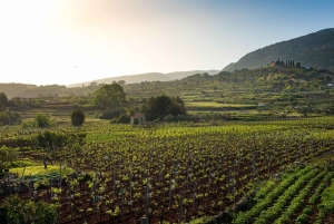 Stari Grad: Privat tuk-tuk-tur med vinprovning