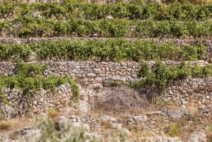 Stari Grad: Privat tuk-tuk-tur med vinprovning