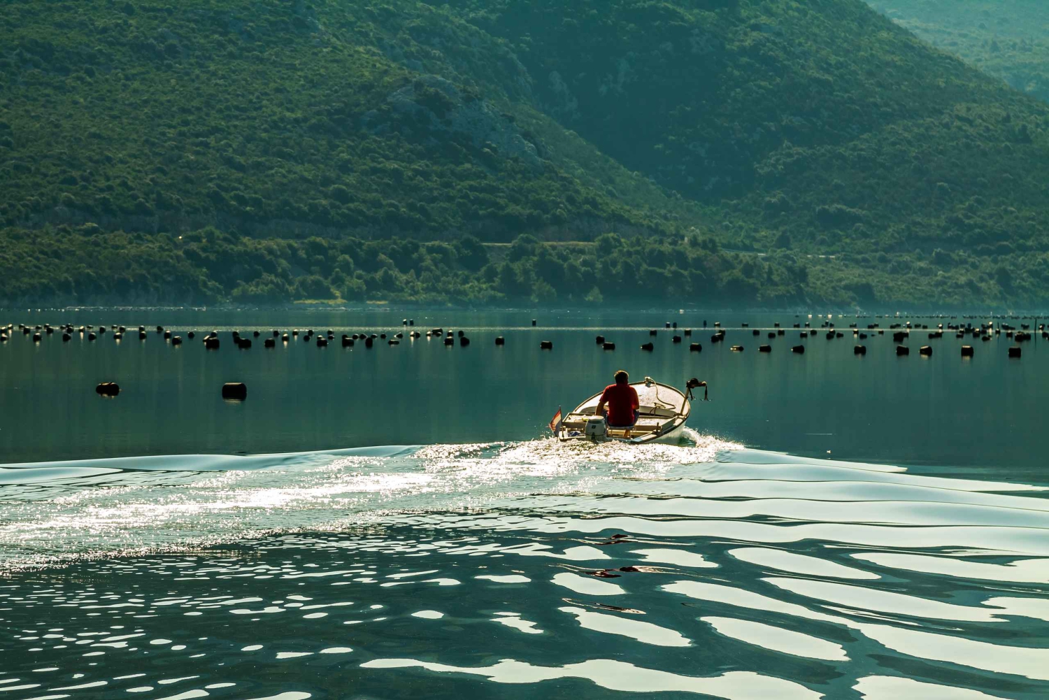 Visite privée de Dubrovnik avec dégustation d'huîtres et de vins de Ston