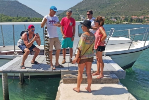 Visite privée de Dubrovnik avec dégustation d'huîtres et de vins de Ston