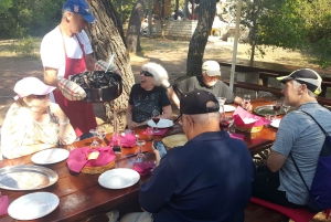 Visite privée de Dubrovnik avec dégustation d'huîtres et de vins de Ston