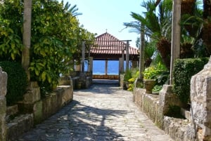 Visite privée de Dubrovnik avec dégustation d'huîtres et de vins de Ston