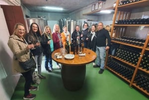 Visite privée de Dubrovnik avec dégustation d'huîtres et de vins de Ston