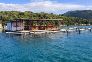 Visite privée de Dubrovnik avec dégustation d'huîtres et de vins de Ston