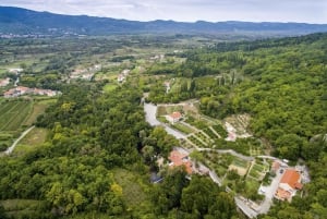 Austern und Weinverkostung in Ston ab Dubrovnik