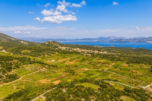 Дегустационный тур в Стон, Пелешац и Корчулу